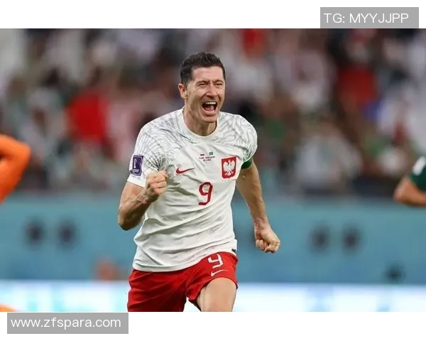 波兰足球球星全览与历史成就分析